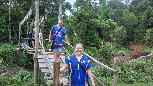 chiang mai blue daily elephant care tours gallery