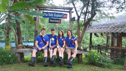 chiang mai blue daily elephant care tours gallery