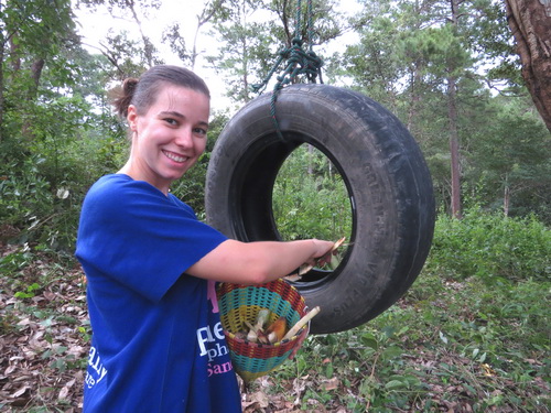 chiang mai blue daily elephant care tours gallery