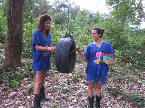 chiang mai blue daily elephant care tours gallery