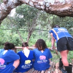 Full Day Blue Daily Elephant Care, Elephants Chill out in Waterfall