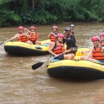 Afternoon Whitewater Rafting Chiang Mai, Foster Rescued Elephants