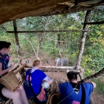 Full Day Super Trip Ethical Elephant, Waterfall, Rafting, Doi Suthep Temple