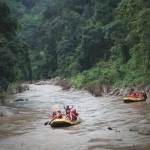 Afternoon Whitewater Rafting Chiang Mai, Foster Rescued Elephants