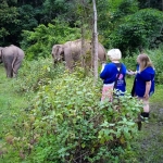 Visit our elephant sanctuary tour office in Chiag Mai City, Thailand