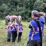 Private VIP Elephant Experience, Rafting, Waterfall, Lunch in Treehouse 