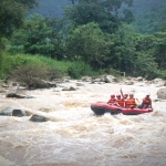 Afternoon Whitewater Rafting Chiang Mai, Foster Rescued Elephants