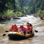 Afternoon Whitewater Rafting Chiang Mai, Foster Rescued Elephants