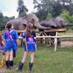 3 Experiences Chiang Mai: Ethical Elephant Sanctuary, Rafting, Waterfall 