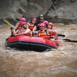 Afternoon Whitewater Rafting Chiang Mai, Foster Rescued Elephants