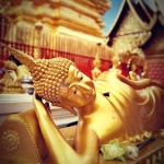 Full Day Super Trip Ethical Elephant, Waterfall, Rafting, Doi Suthep Temple
