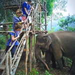 Full Day Super Trip Ethical Elephant, Waterfall, Rafting, Doi Suthep Temple