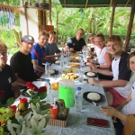 Afternoon Whitewater Rafting Chiang Mai, Foster Rescued Elephants