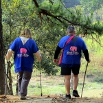 3 Experiences: Ethical Hands Off Elephant Sanctuary, Rafting, Waterfall 