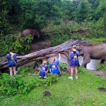 Full Day Super Trip Ethical Elephant, Waterfall, Rafting, Doi Suthep Temple